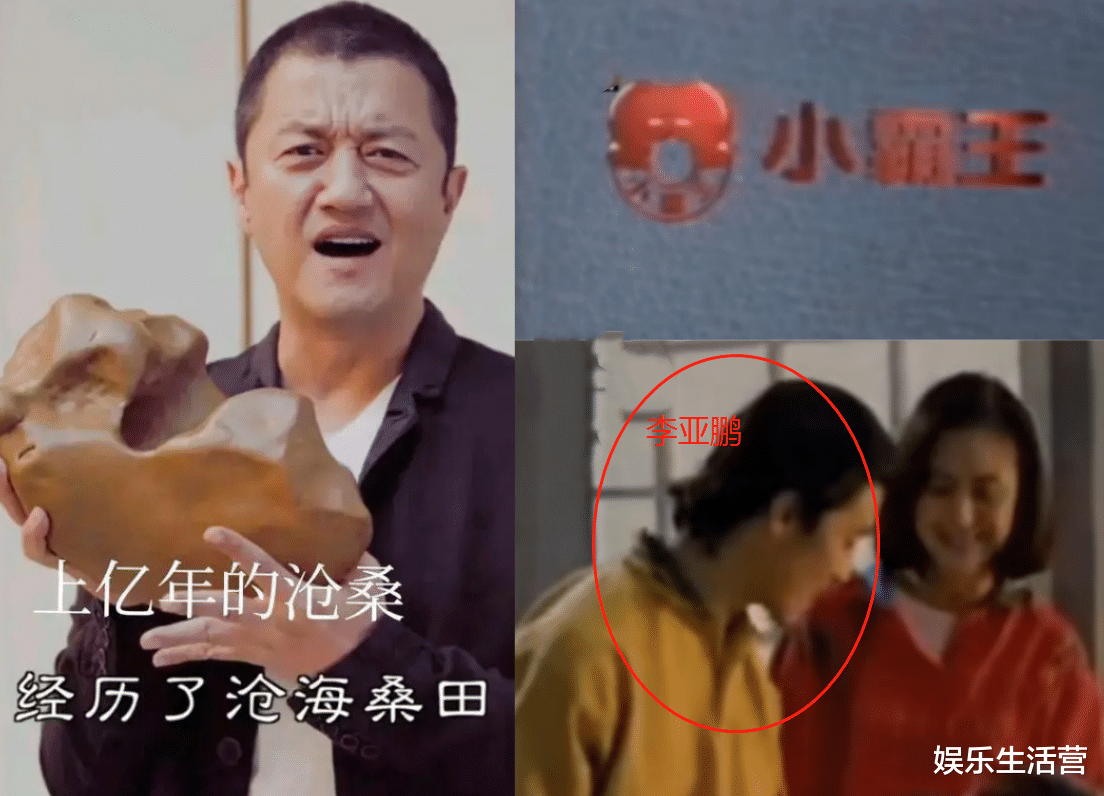 娱乐圈|还做梦？李亚鹏忍痛割宝，出3.5亿甩卖8亿太湖石，网友：35元成交