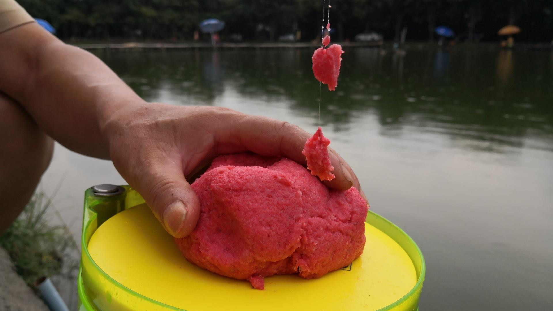 水库|怎么让腥味饵料效能发挥到极致？分享5个小技巧，保证管用