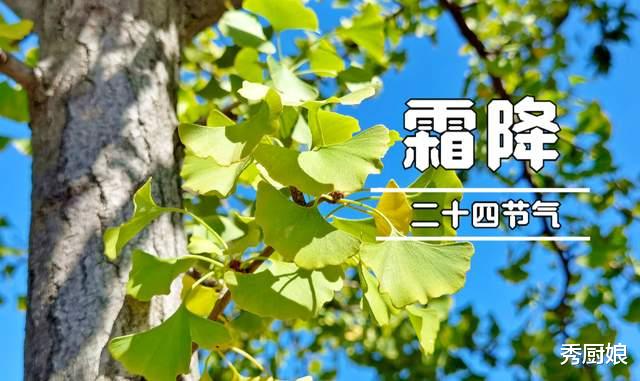 饺子|霜降吃饺子，韭菜芹菜靠边站，这3种馅鲜香好吃，营养解馋，真香