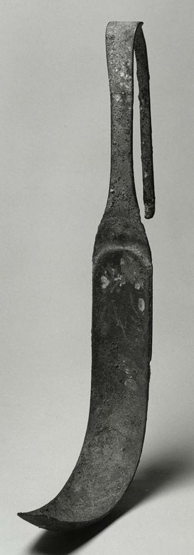 鼻炎|古希腊人是如何通过健身保持身体健康的