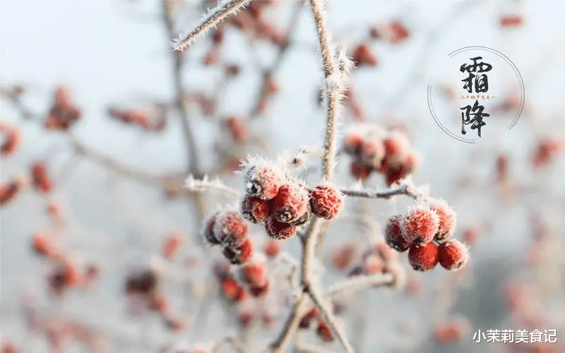 霜降|一年补透透,不如补霜降,10月24日霜降,记得吃2肉3菜,滋补强身
