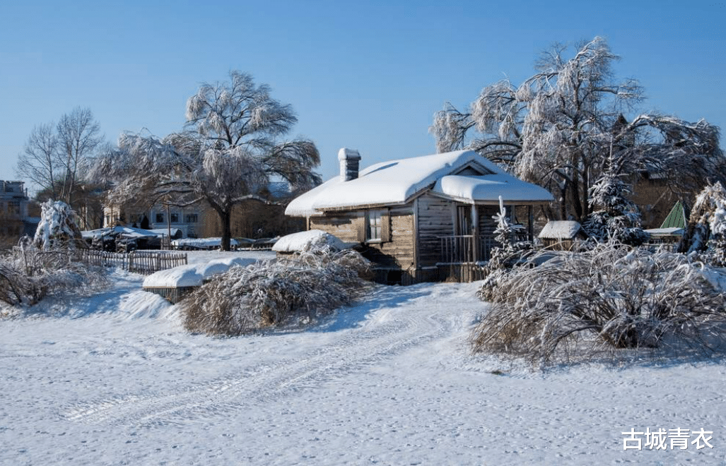 |明天冬至!“冬至在头,冻死老牛”,今冬是“60年一遇”的冷冬?
