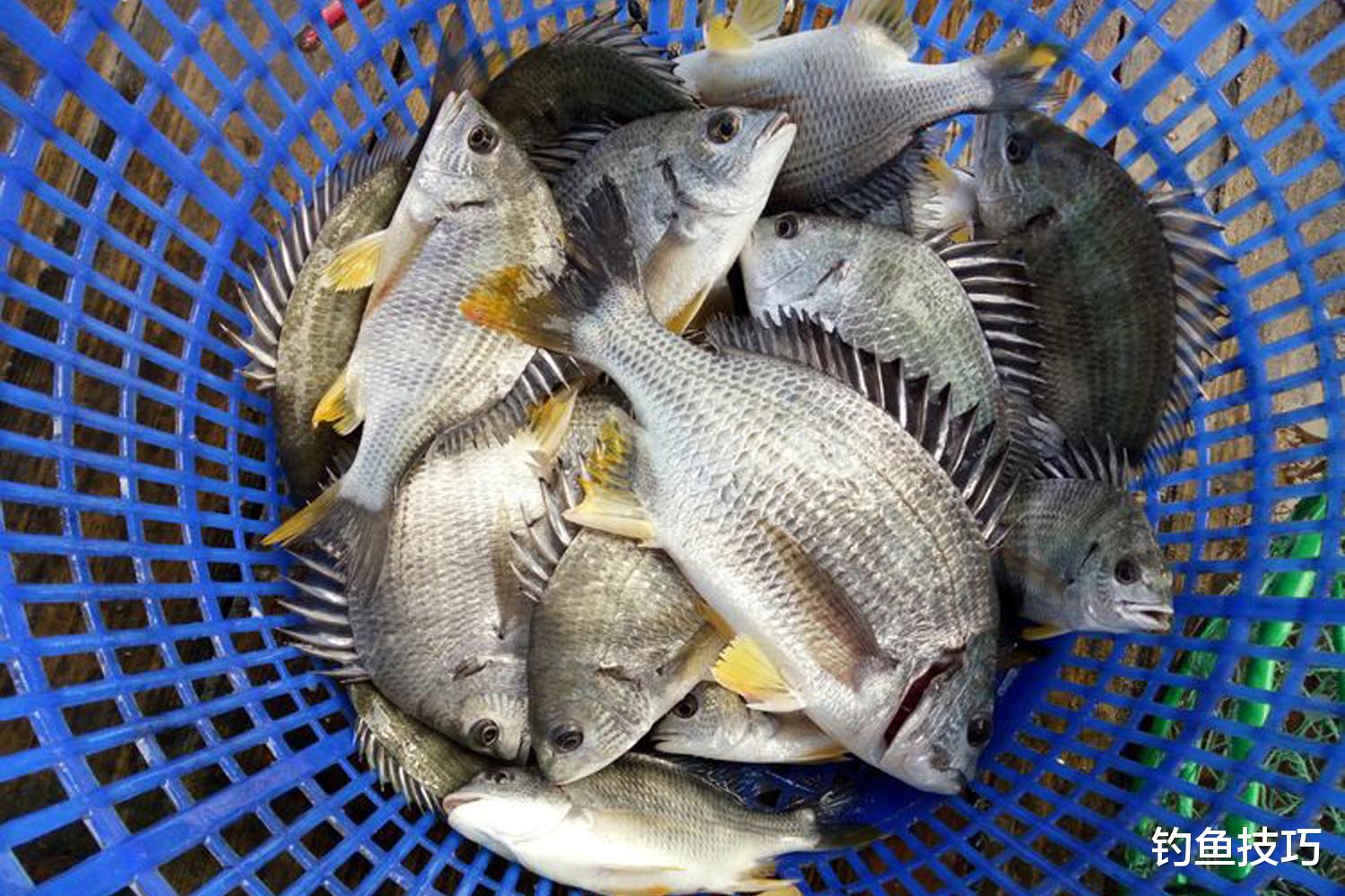 海钓新手怎样选装备?海钓新手选装备的技巧