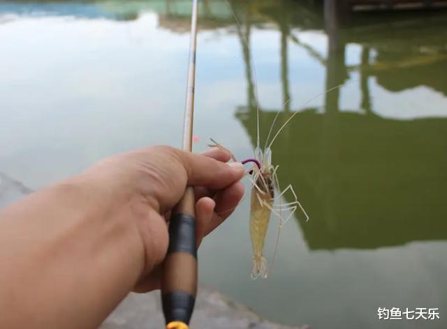 太缺德!四川两男子为了钓鱼,竟用敌敌畏“漂虾”做钓饵