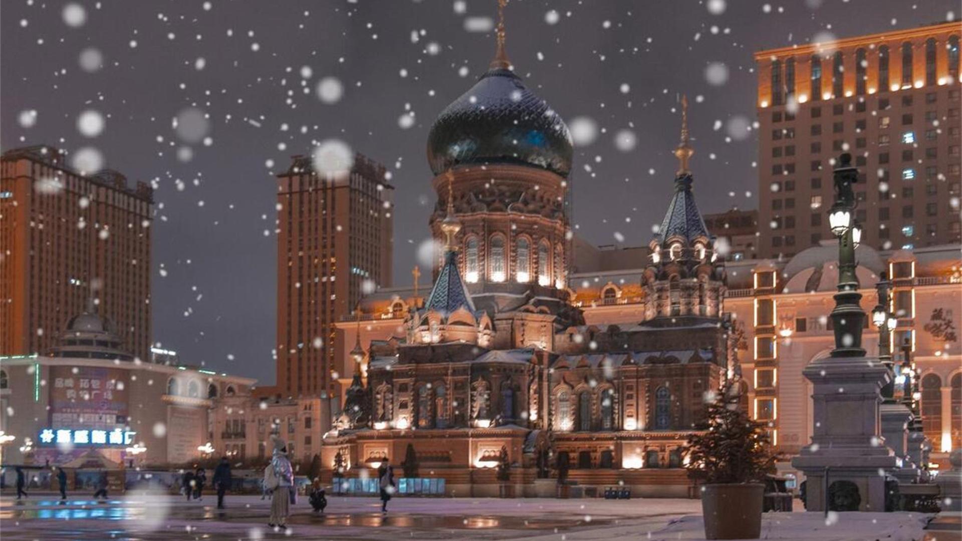 饺子|在哈尔滨，南方人不爱吃饺子的原因找到了！原来饺子差距能这么大