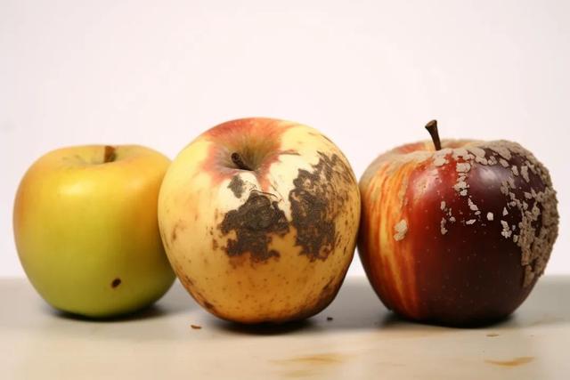 易怒、口苦口臭、脸色暗黄，或是肝有问题！这食物有助于保护肝脏