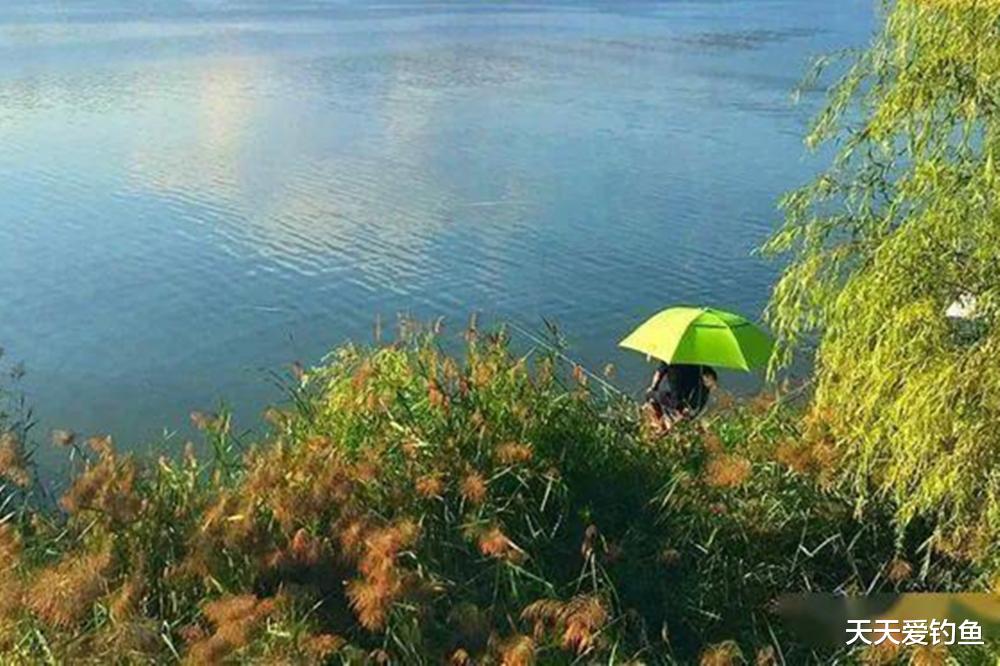 夏天钓鱼，3不选3不钓，6大技巧杜绝空军