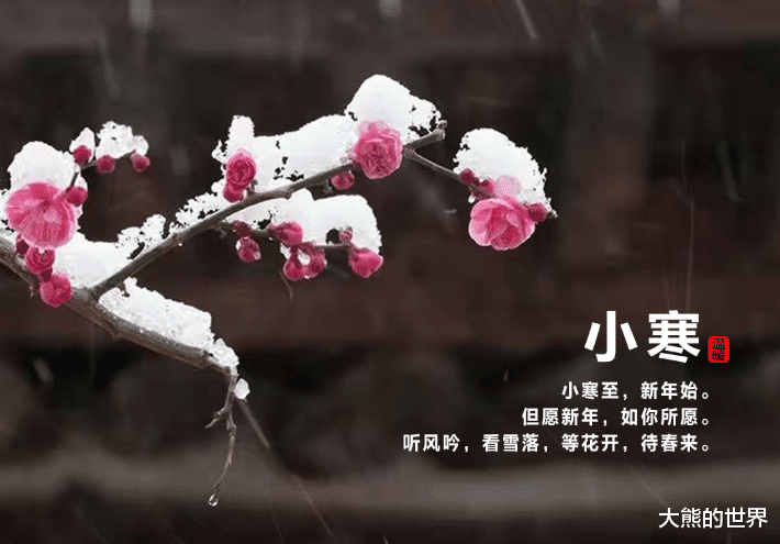 小寒不养阳,一年都白忙!1月5号小寒,记得吃“养阳4宝”来御寒