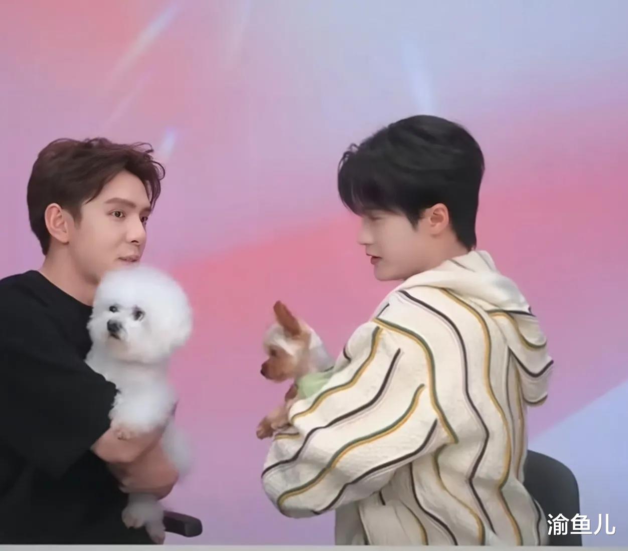 檀健次做客李佳琦直播间,两人般配合作,气氛热烈有趣