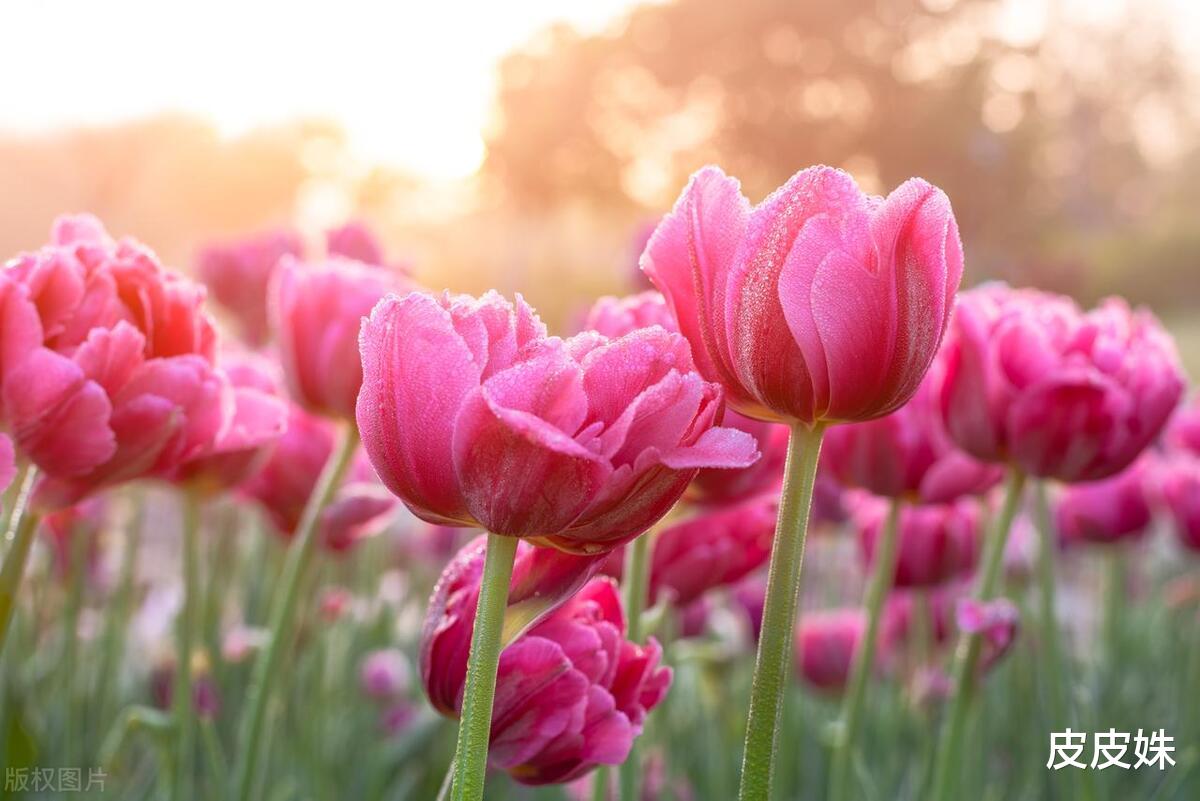 懒癌单身姑娘如何有效管理自己的时间：一位瑜伽老师的来自灵魂深处的分享