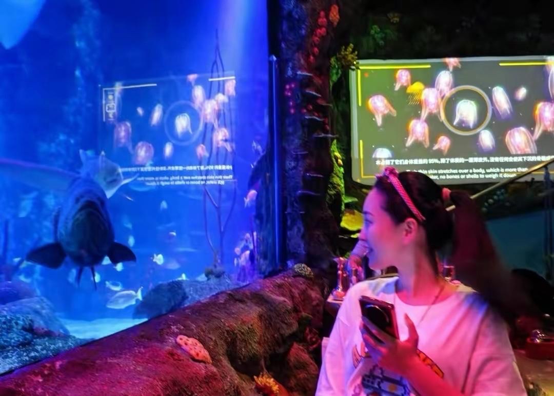 孙丞潇金莎讨论婚前财产公证,双方达成一致,否认因钱与金莎交往