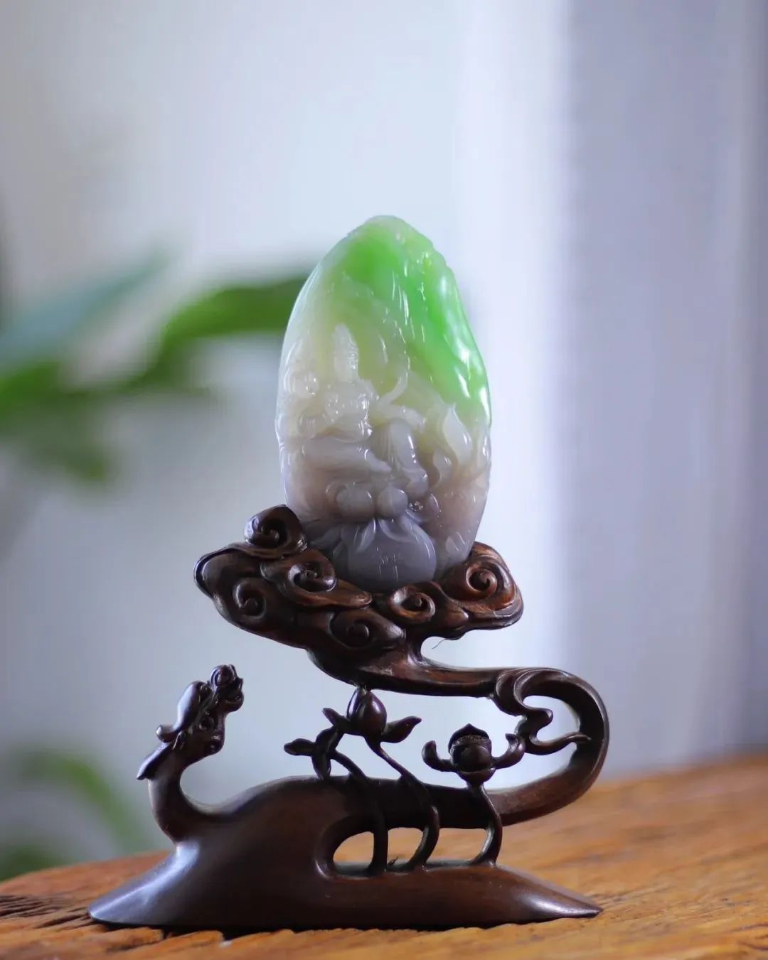 十年涨了十几倍,疯狂的翠青……