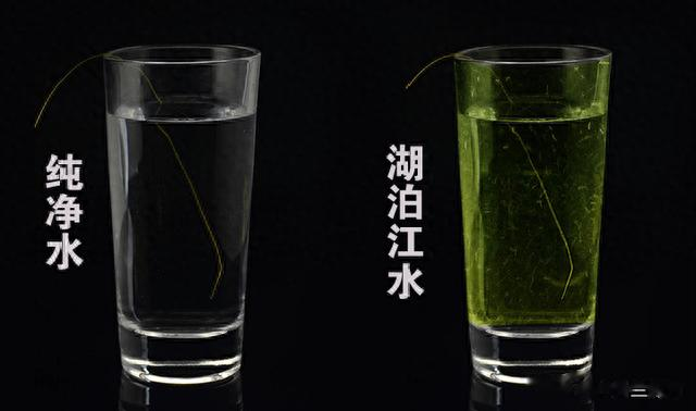 超实用鱼线选购、养护技巧分享!