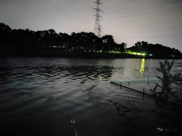 钓鱼日记——2023年7月10日(亿城大学对岸夜钓)
