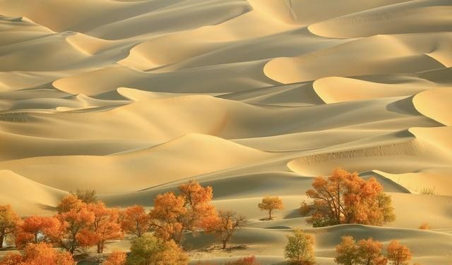 新疆维吾尔自治区|盘点中国最美的五大沙漠，去过两个算合格，你去过几个?