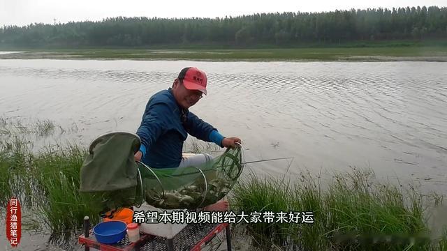 饵料|饵料像跳舞一样下不了底，别着急收竿，换种钓饵鱼满篓！
