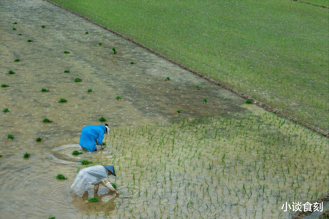 物价|“明年迎青龙，5事耗钱财”，指哪5件事？千万别不当回事，早准备