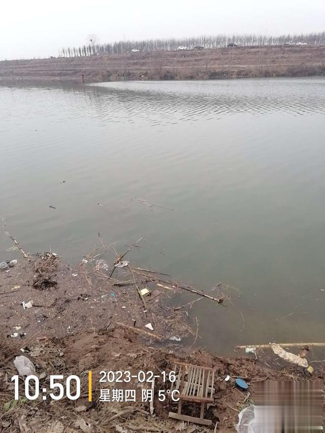 |舍远求近，连上两条大板鲫