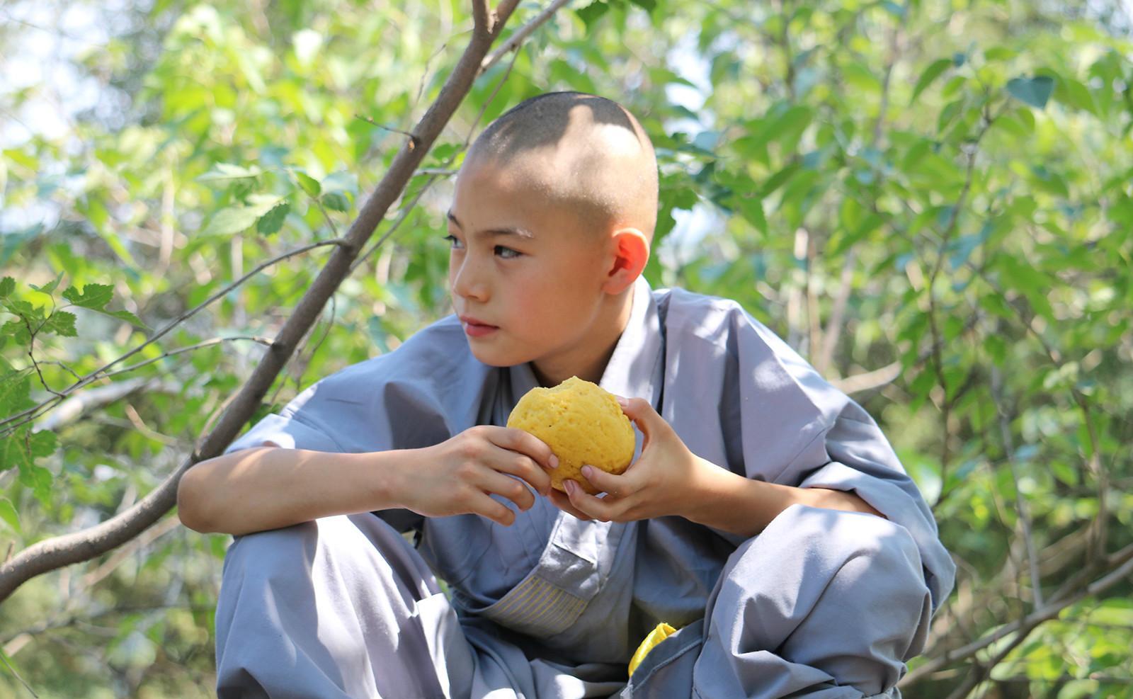 王宝强|从少林寺出来的6位明星,有人成百亿票房演员,而有人跌落神坛