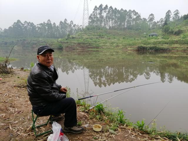 鲫鱼|渔是吾家事