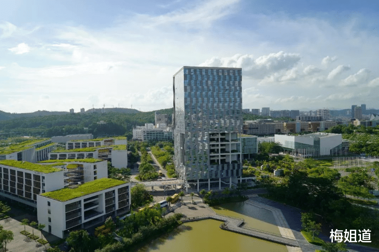 专升本|升本还是就业？深职院学生的困境，敢叫板211却不知今后出路