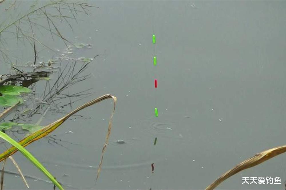 冬季野钓，这种现象说明有鱼窝，不用打窝直接开钓