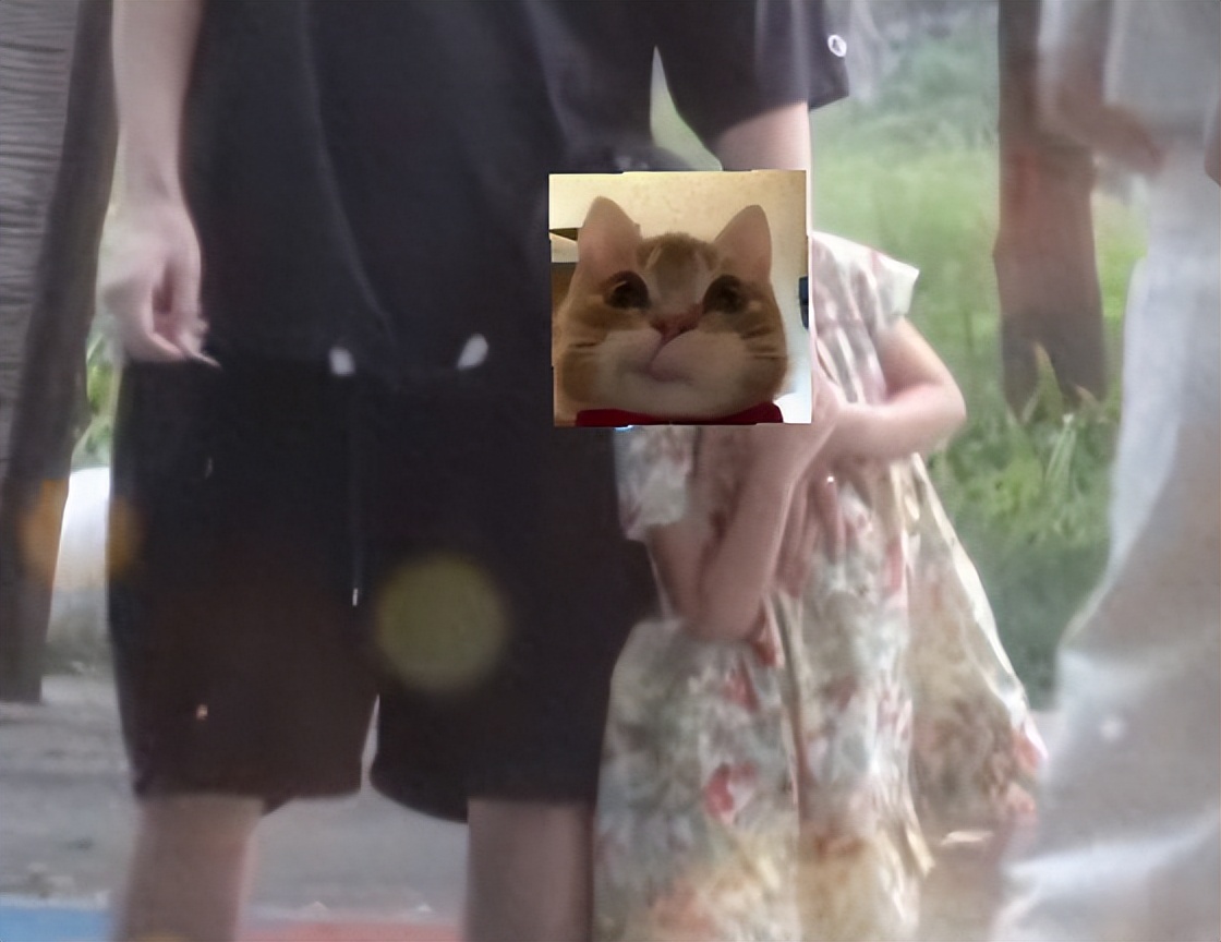 高圆圆夫妇合体接娃,4岁女儿气质好,路人镜头下又现“照妖镜”