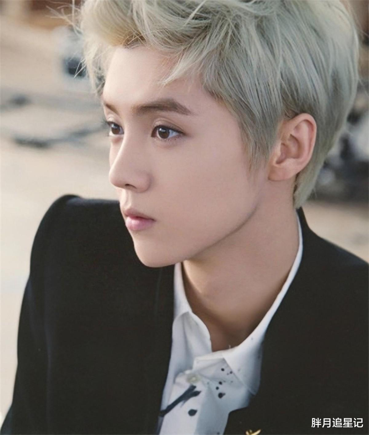 大胆认爱,曝光率下降的鹿晗,已经走上了另一条大道