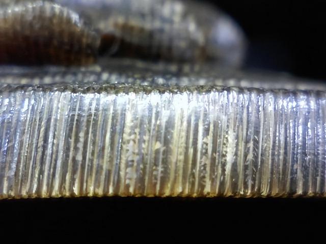 雕刻|古玩中神秘的通天犀是什么？