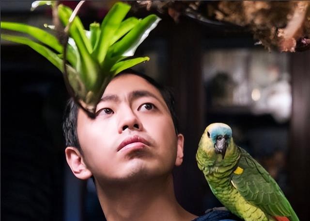 王昱珩|毕业20多年不上班，最强大脑王昱珩生活优渥，赚钱成最简单的事