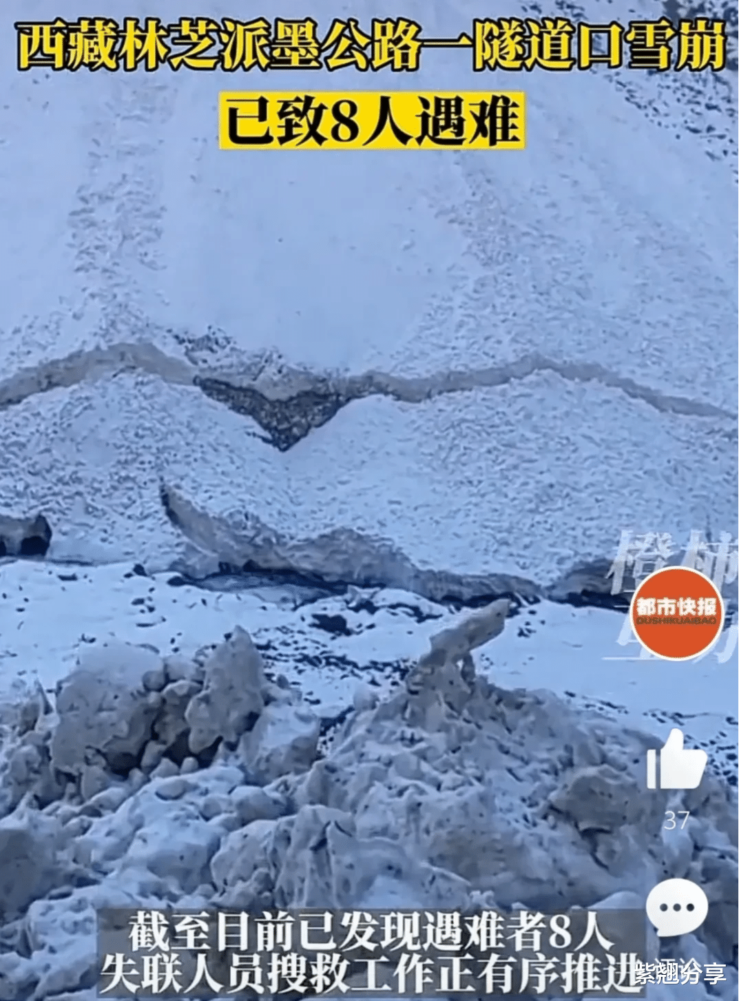 西藏|太揪心！西藏某隧道口发生雪崩，已致8人遇难