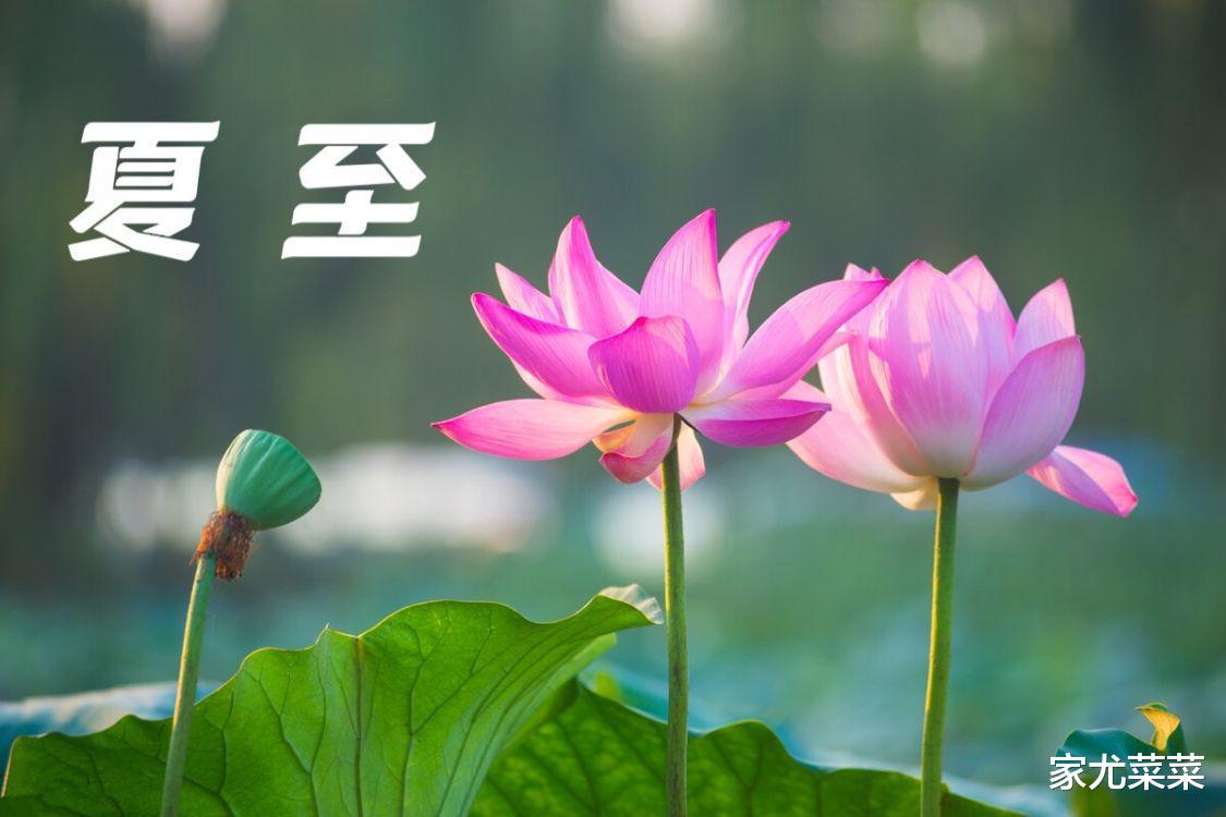 食盐|夏至时节,牢记:吃三样,喝三样,做三样!全家这样做一年少生病