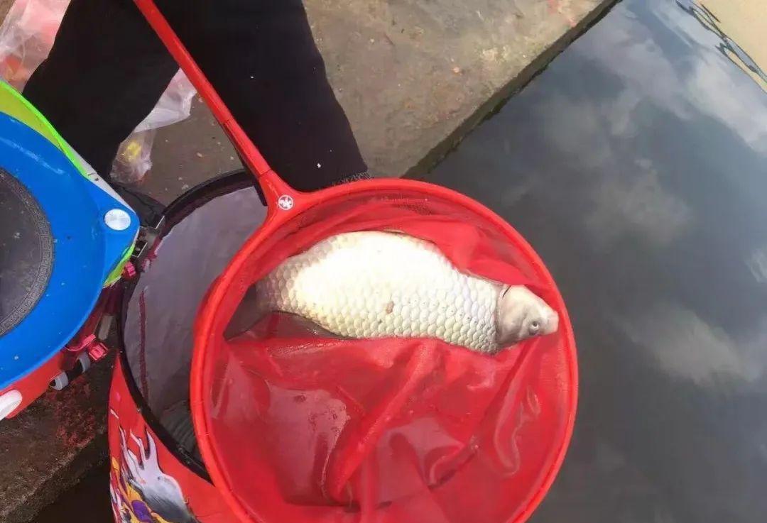 潜规则|玩黑坑不可不知的5个“潜规则”，悄悄告诉你，少交点学费