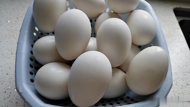 鹅蛋|鹅蛋为啥少有人吃？也很少有鹅蛋卖？我也是刚知道，真的涨知识了