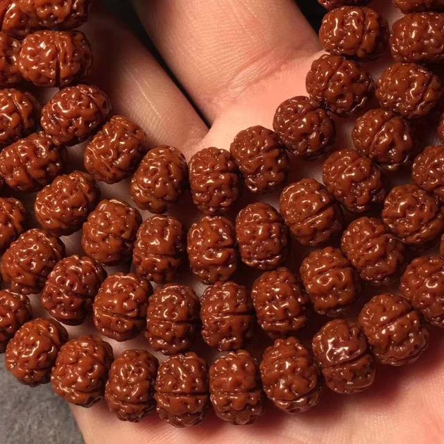 金刚菩提为什么一定要分大小?大金刚和小金刚菩提有什么区别?