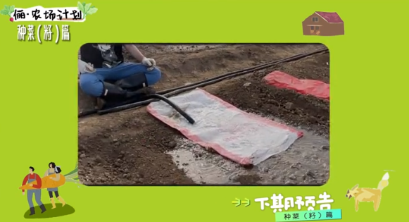 孙俪|孙俪化身农民，承包大棚播种育苗翻土亲力亲为，获农民网友点赞