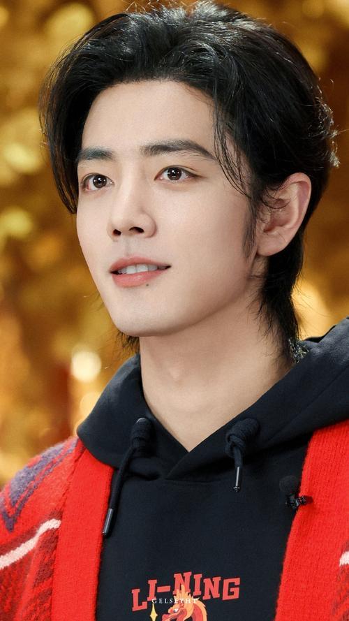 肖战工作室获国家许可,或将开办个人演唱会