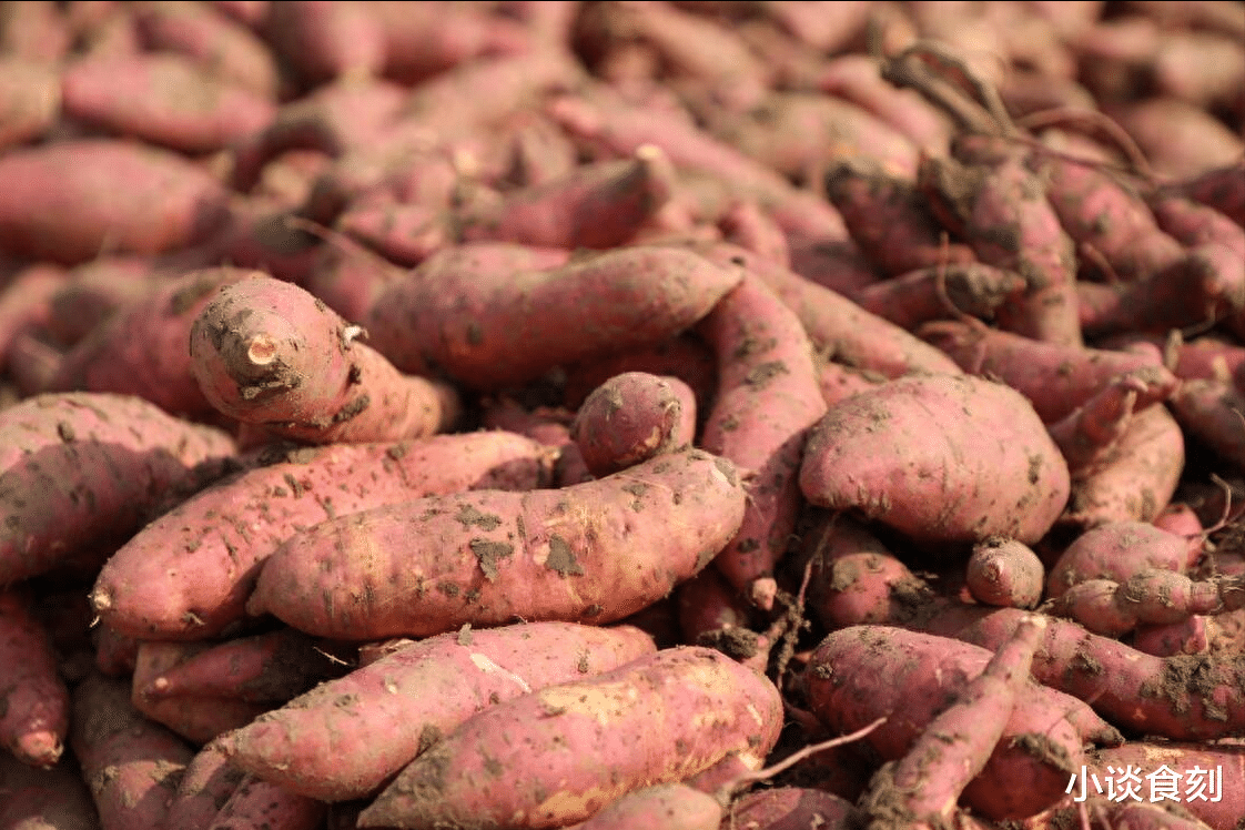 红薯|“红薯五不吃,吃了秋难安”,喜欢吃红薯的要留意,别不当回事