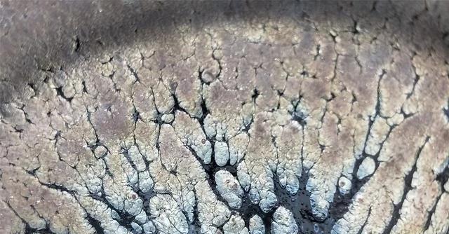 建盏|建窑建盏就是宋代茶文化的体现 黑釉瓷器为何风靡宋朝?