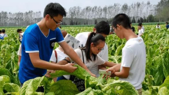杨幂|情侣双双入职烟草公司,发出的薪资明细让人羡慕,年终奖属实可观