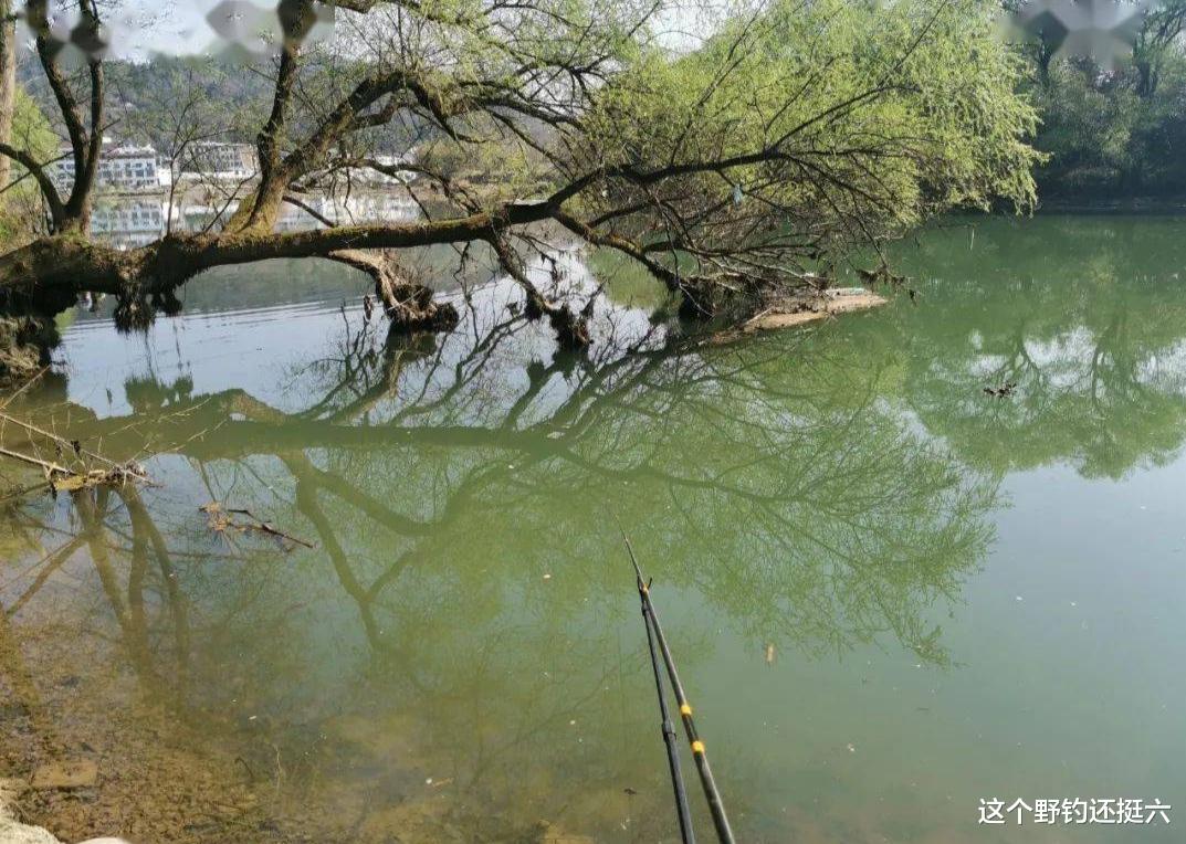 |起风就停口?西南风鱼难钓做好三点应变,可有效上鱼彻底摆脱空军