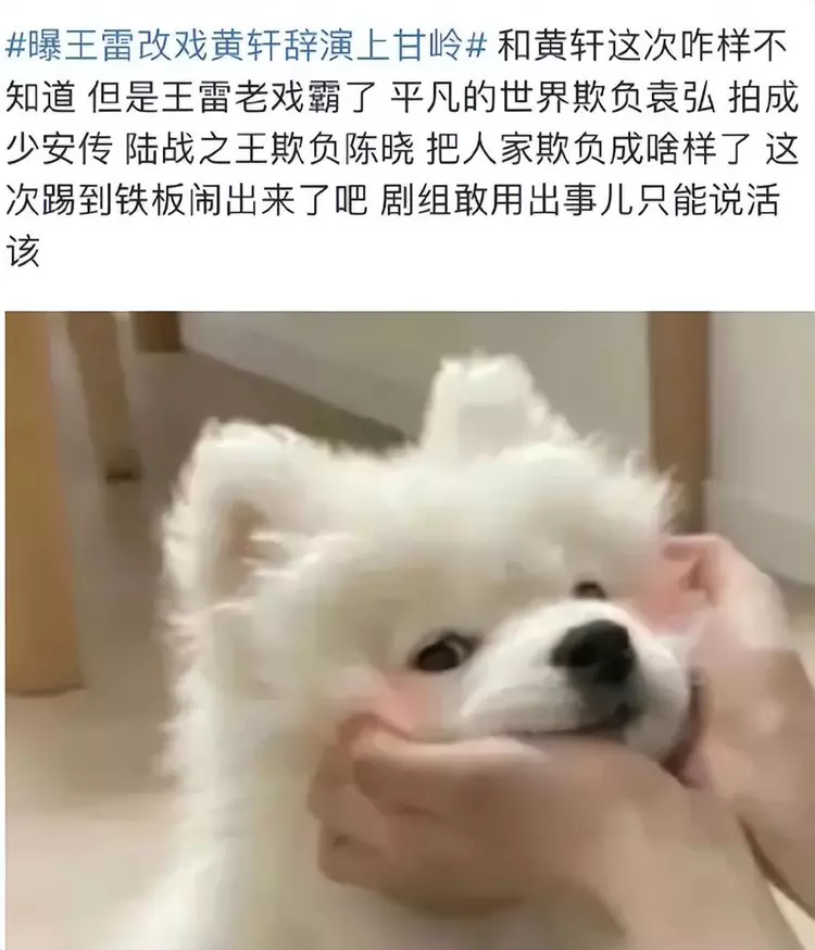 王雷|曝王雷改戏惹怒黄轩，两人在片场大闹，陈宝国也曾暗示王雷是戏霸