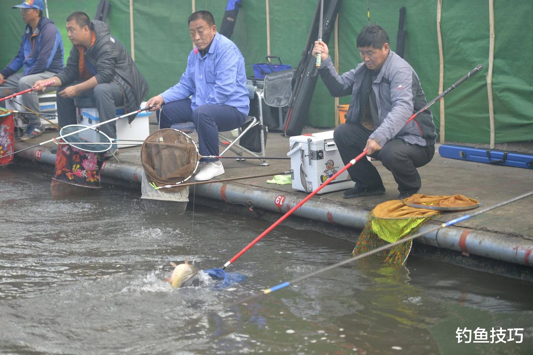 冬钓大棚如何选择鱼饵？冬钓大棚的5个用饵技巧