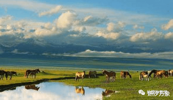 内蒙古|我国最长的省份，与8省相邻跨越3个时区，从西至东开车需56个小时