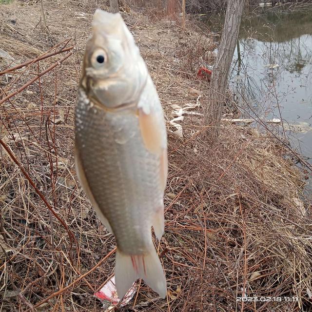|鱼儿正在向我们招手,你做好准备了吗?