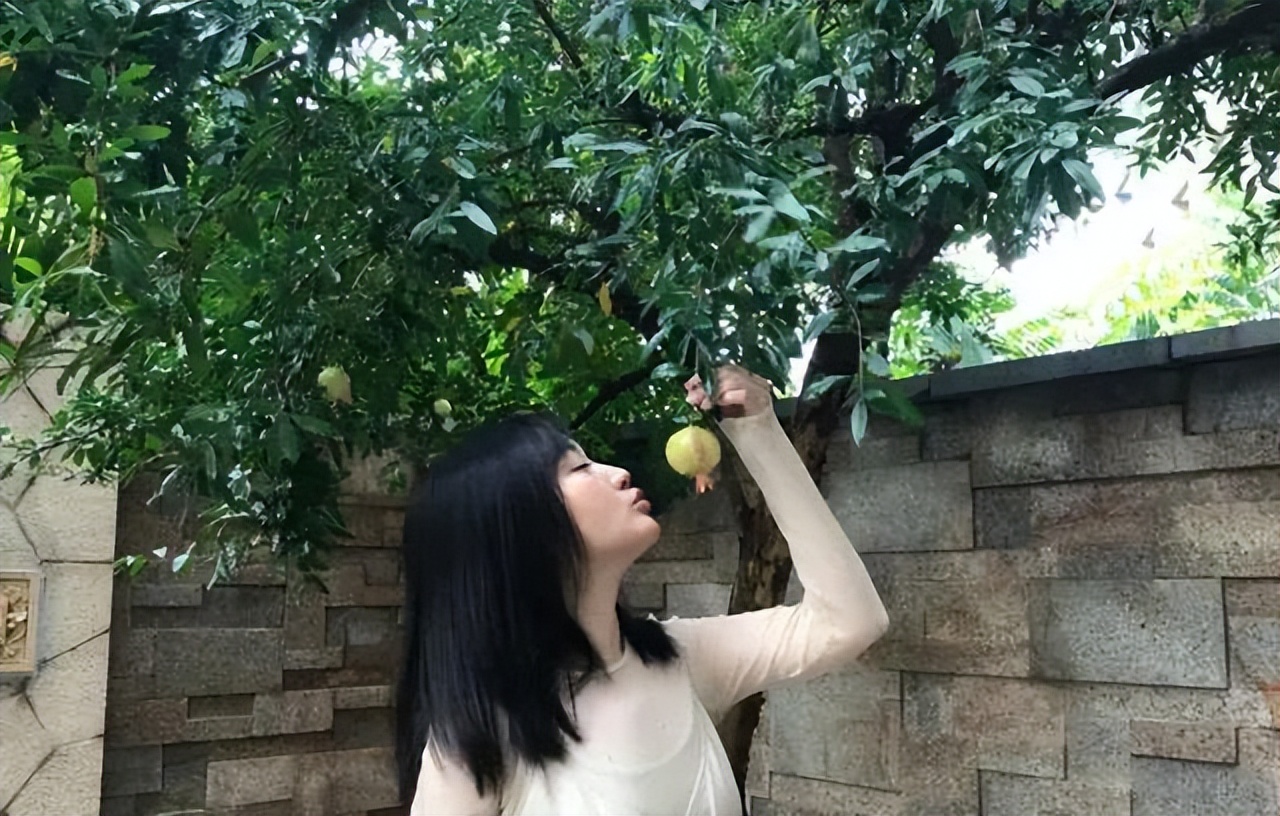 杨钰莹|52岁杨钰莹现状曝光:前男友入狱,在深圳豪宅种辣椒,独居不寂寞