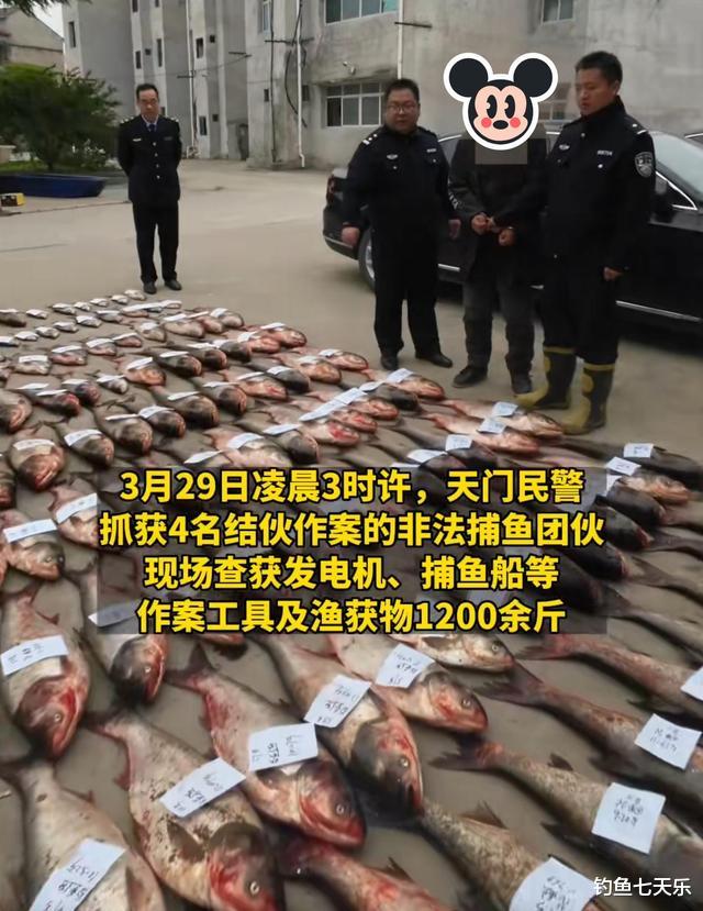 |重庆钓鱼男子长江钓到23斤大鱼,最高可判三年?网友热议