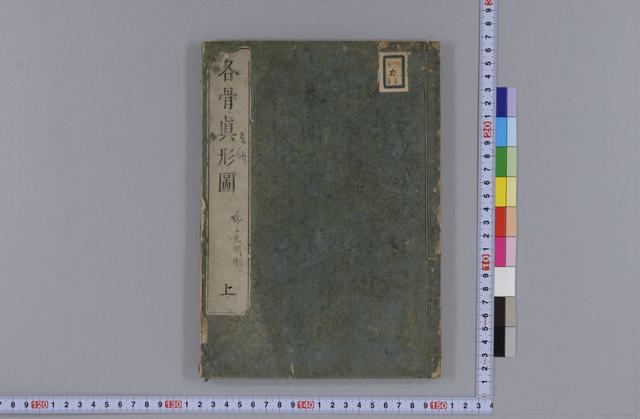 古籍分享《各骨真形图》