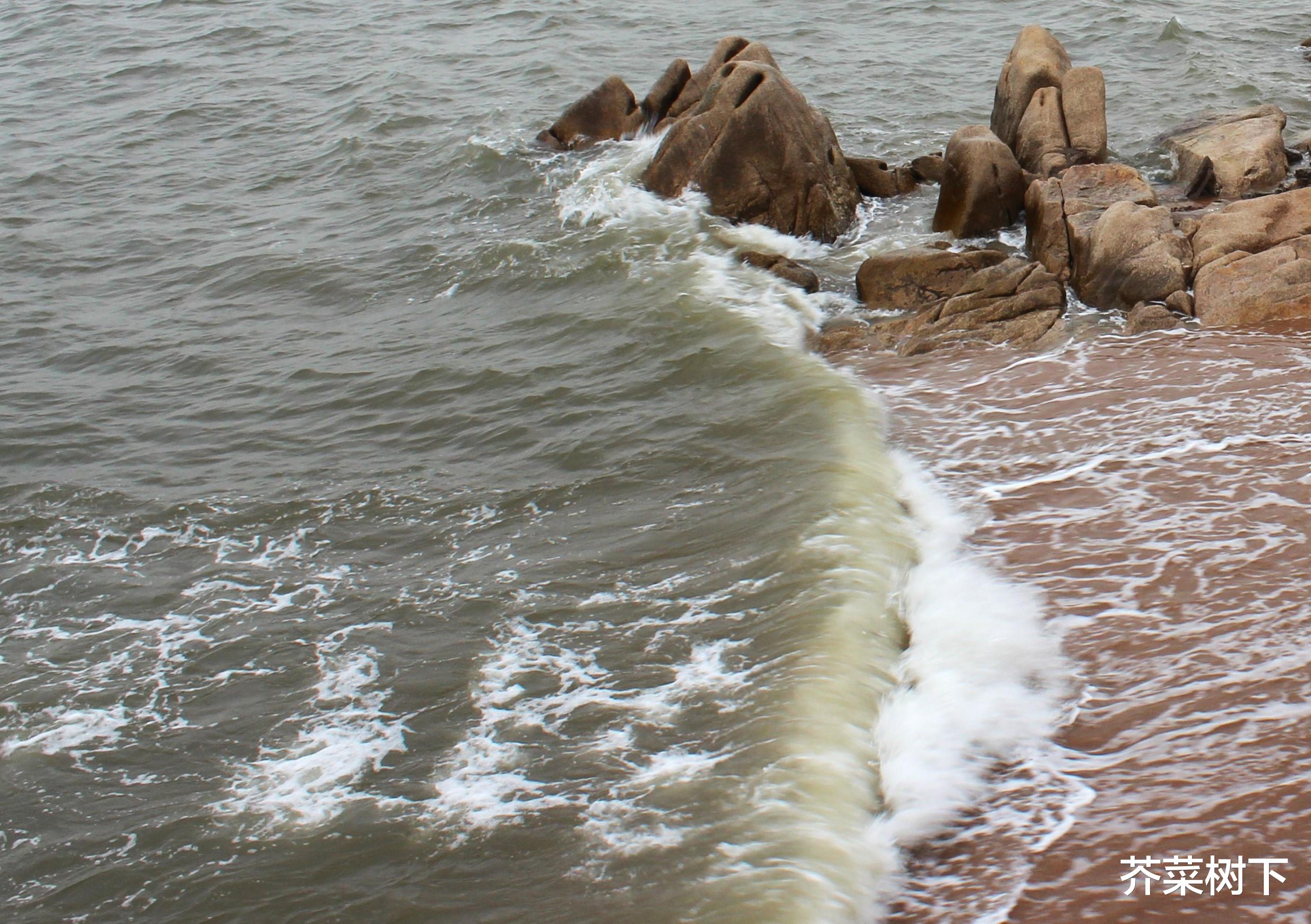 职场起冲突，能否做到“只论事，不论人”？