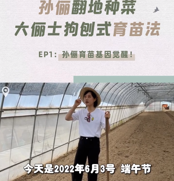 孙俪|孙俪化身农民，承包大棚播种育苗翻土亲力亲为，获农民网友点赞